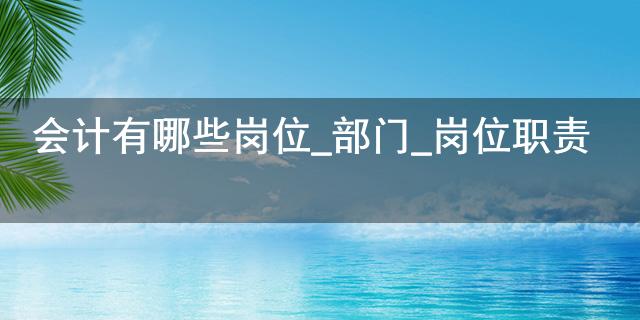 杏彩体育官网系统管理系统管理员岗位职责会计有哪些岗位_部门_