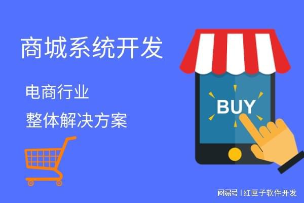 杏彩体育b2b电商系统开发-b2b电商平台方案定制公司